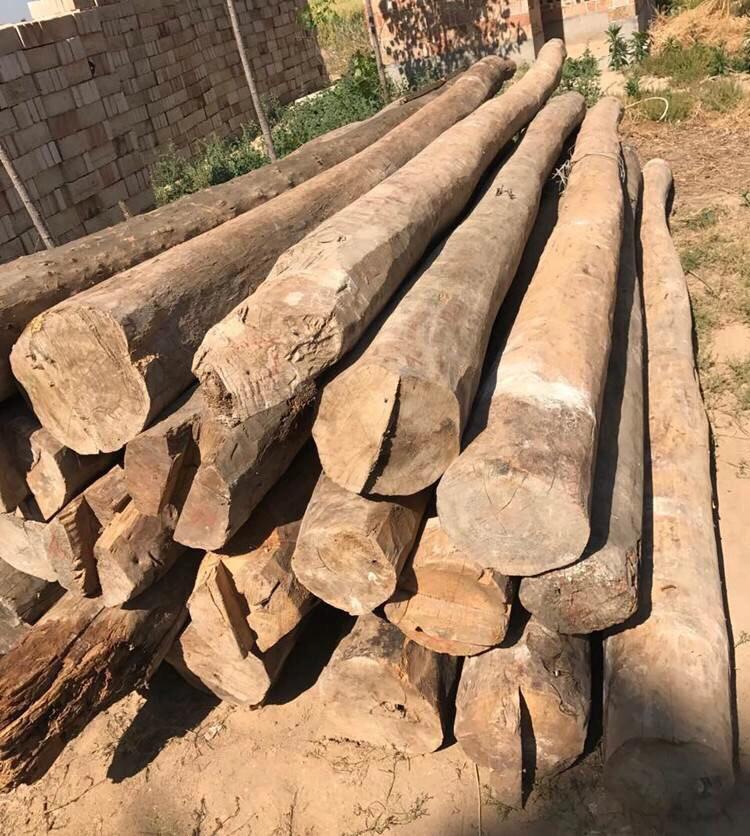 农村收购木材赚钱吗,乡下暴利的生意