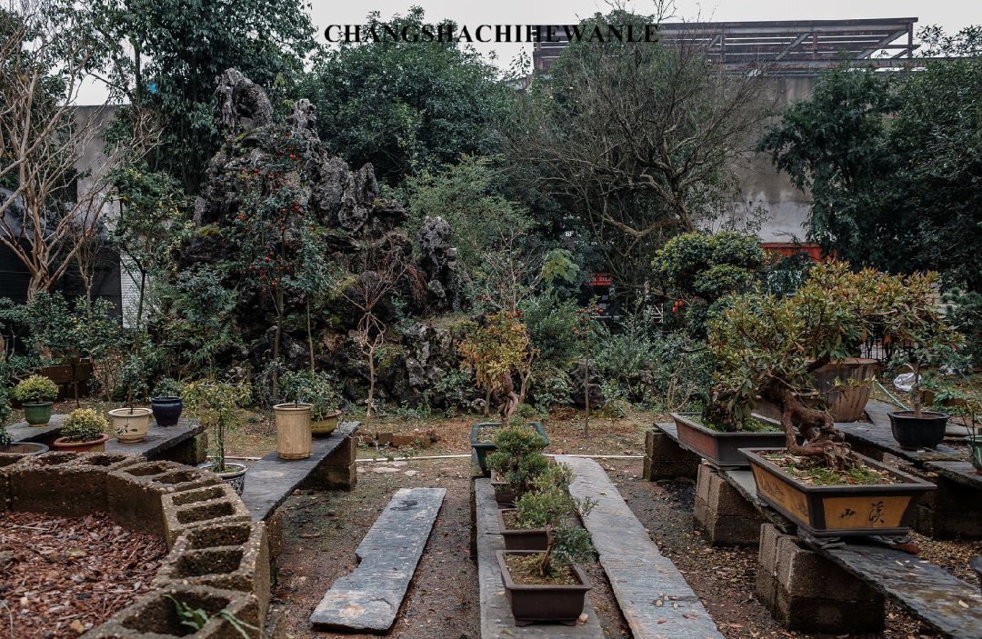 长沙周边比较小众的旅游景点,长沙人最喜欢去的十大景点排名