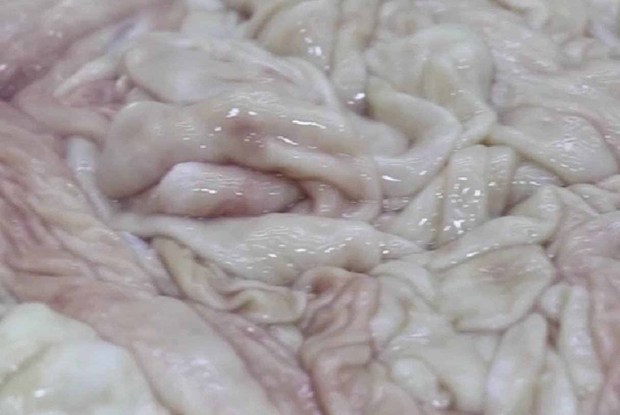 揭秘江油肥肠,世界肥肠之乡