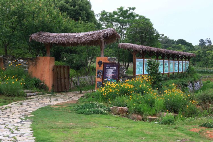 牧童遥指杏花村真正意思,牧童遥指杏花村的遥意思