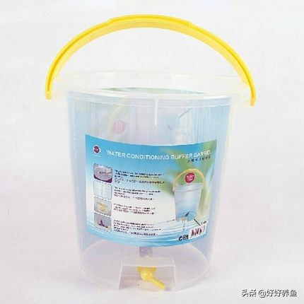 鱼缸换水注意事项养鱼老道,鱼缸养鱼换水的重要性