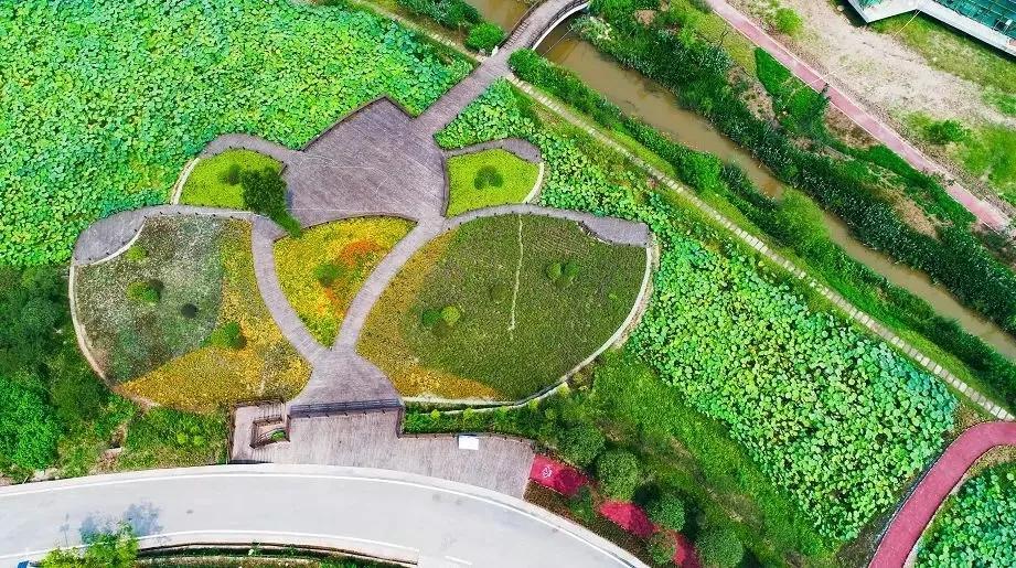 五一期间简阳有什么好玩的,简阳周边春游的好地方推荐