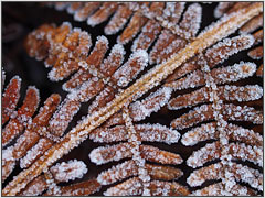 微单相机可以用单反相机镜头吗,相机镜头哪个平台便宜