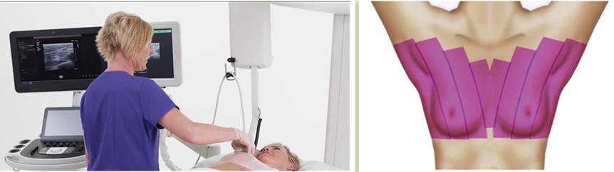 闄曢紦瑗夸华,闄曢紦瑗夸华闆嗗洟