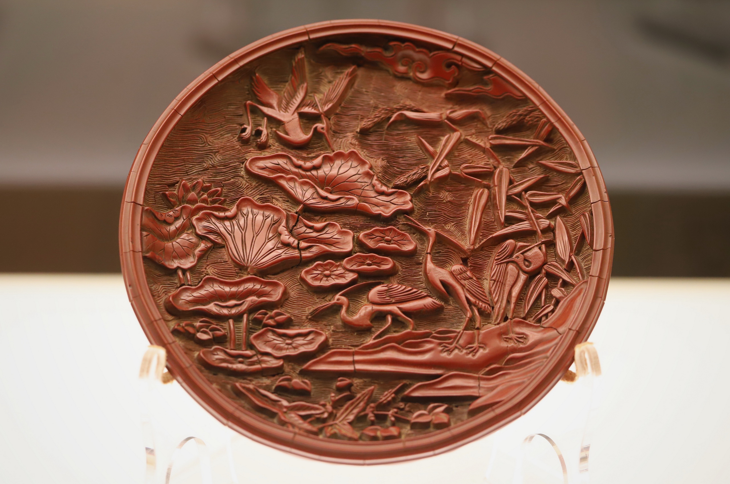 上海博物馆参观线路图高清大图,震撼高清大图曝光惊艳全城