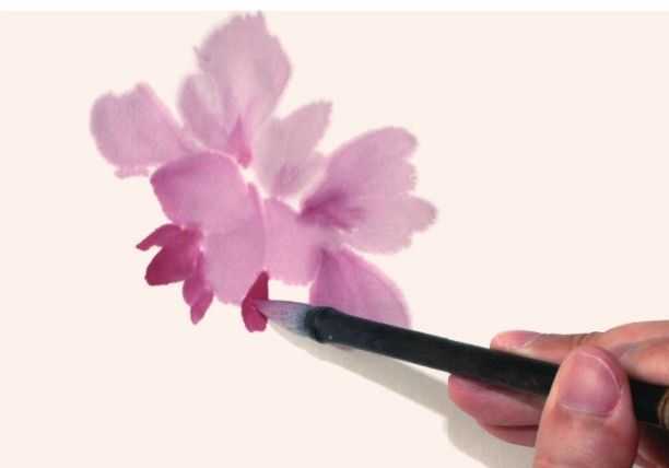 国画知识：牡丹不会画？教你3种牡丹画法，简单易学，快收藏起来