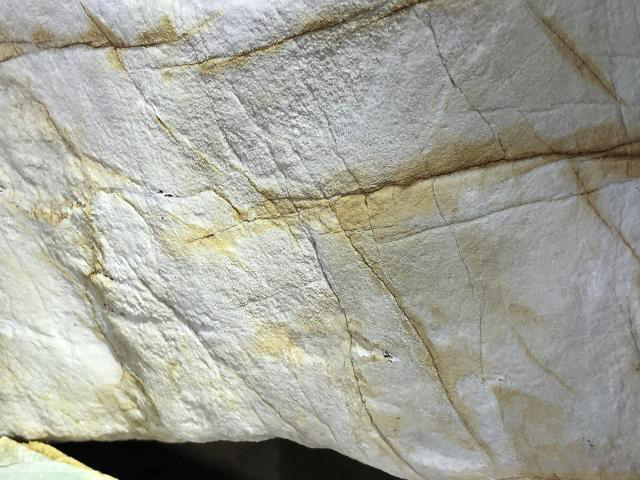 公盘里一块重达340公斤的翡翠原石，底价20000，你觉得值吗？