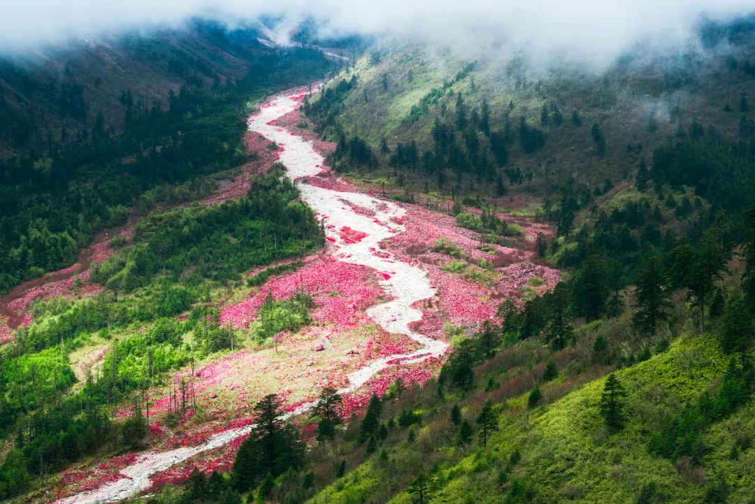 情歌故乡，格萨尔王故里，不去*藏西**就去梦中的香巴拉
