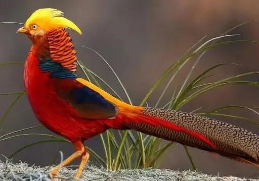 疫情面前，创始人捐款5000万的河南商超是何方神圣？曾两次自杀