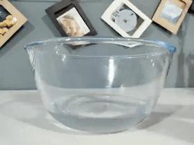 蒲公英女头,蒲公英女孩