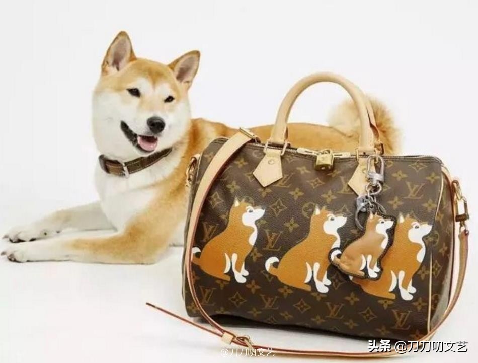 刘雯杨颖跨年,杨颖刘雯同框合作