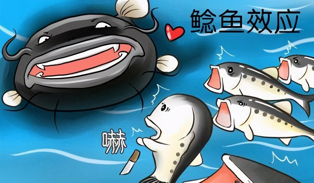 领导提拔谈话下属如何发言,当领导提拔我的下属时我该怎么办