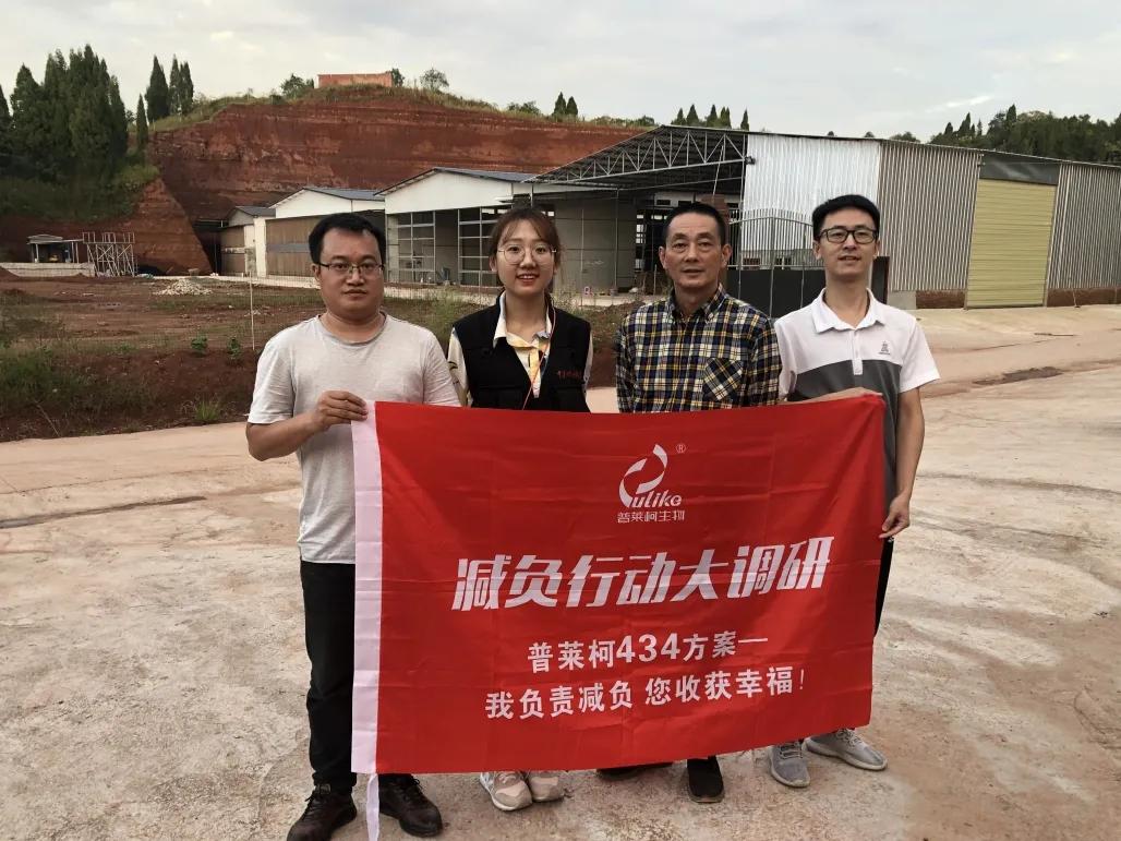 蛋鸡行业的发展方向,蛋鸡行业的未来发展方向