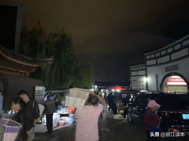 疯狂的松茸,疯狂的野生菌