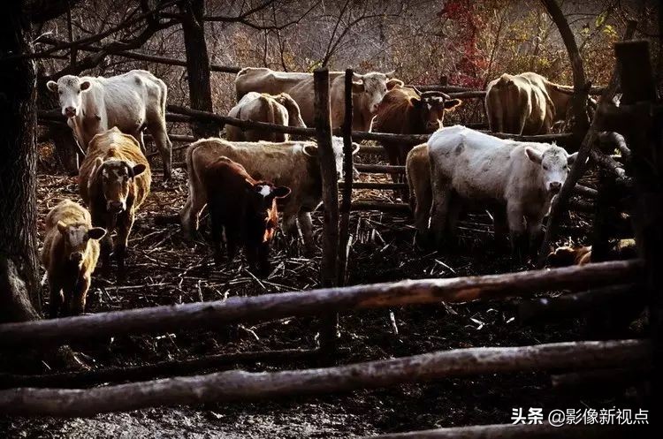 本溪洋湖沟画家村旅游攻略,本溪画家村洋湖沟航拍