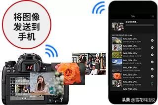 拍照新手入门相机便携,新手拍照相机软件推荐