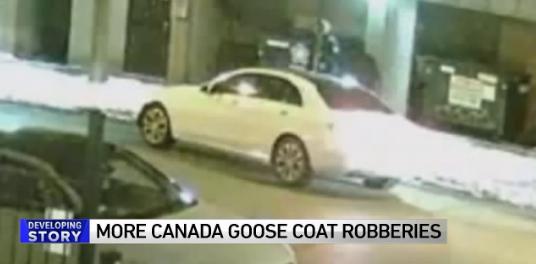 加拿大鹅与国产羽绒服哪个好,国产羽绒服堪比加拿大鹅