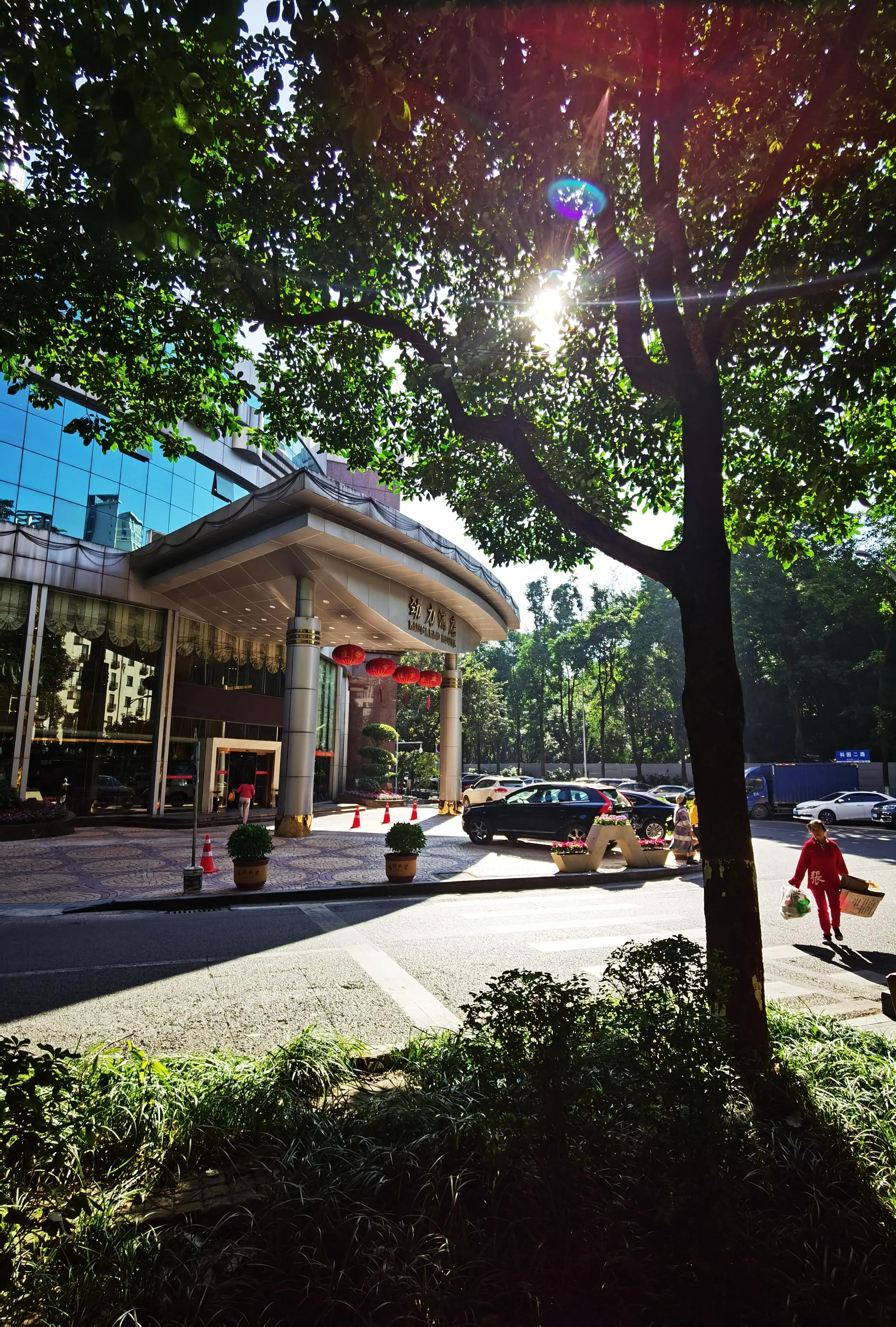 《高度关注》“米萝”咖啡的故事