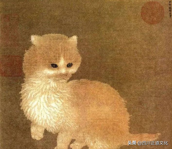 猫的故事高清图片,盘点猫的曾经故事