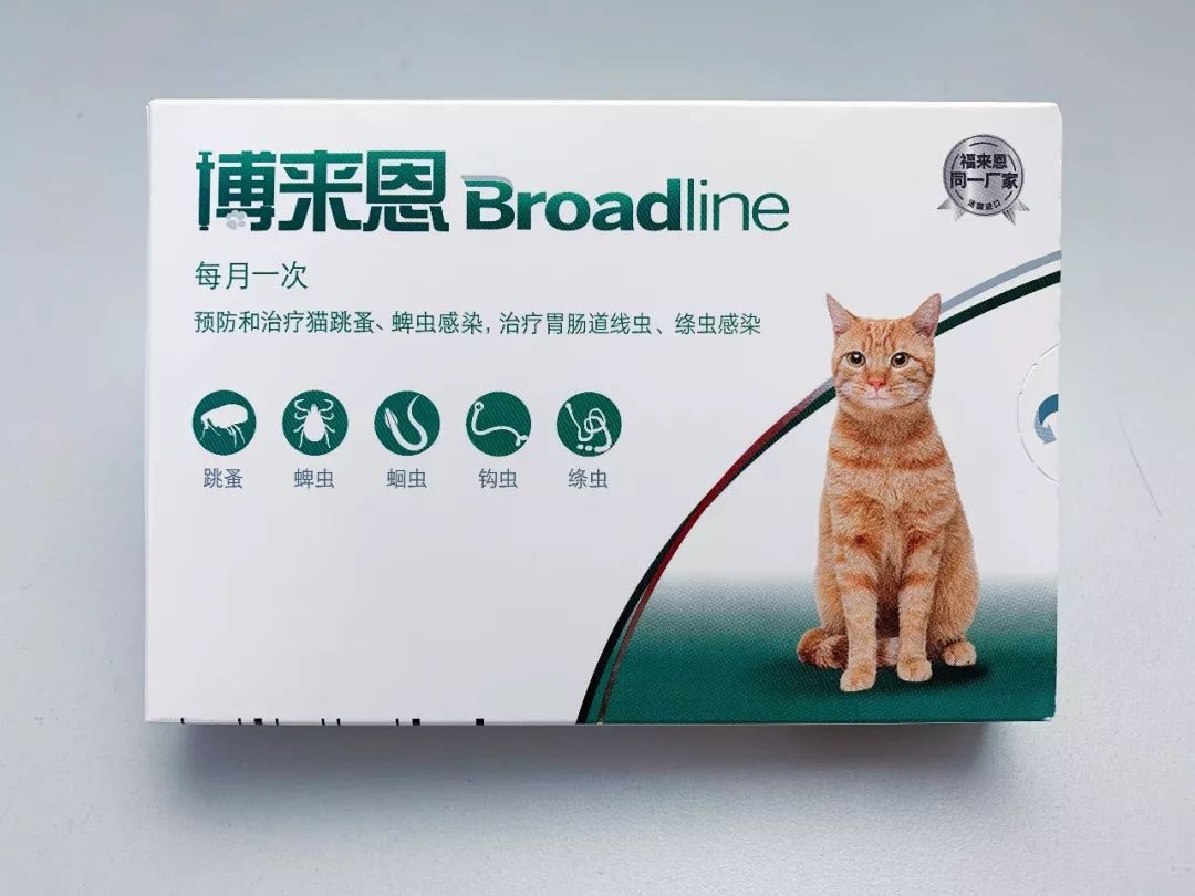 用了博来恩还要内驱吗,博来恩猫外驱