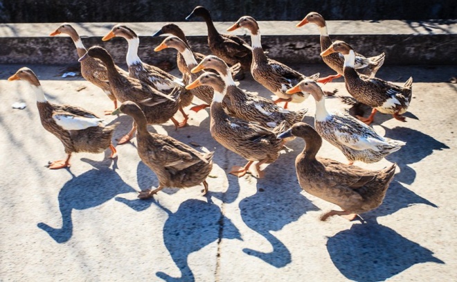 宜兴风景区推荐,宜兴这座诗情画意的江南小镇