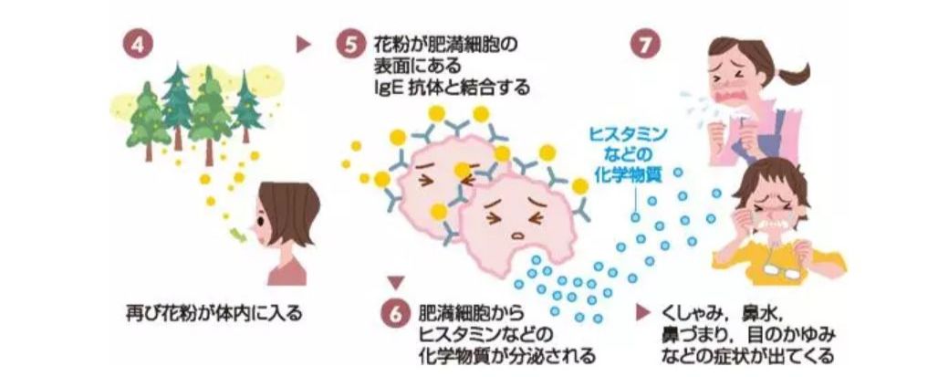 新型肺炎日本现状,日本新型肺炎现状