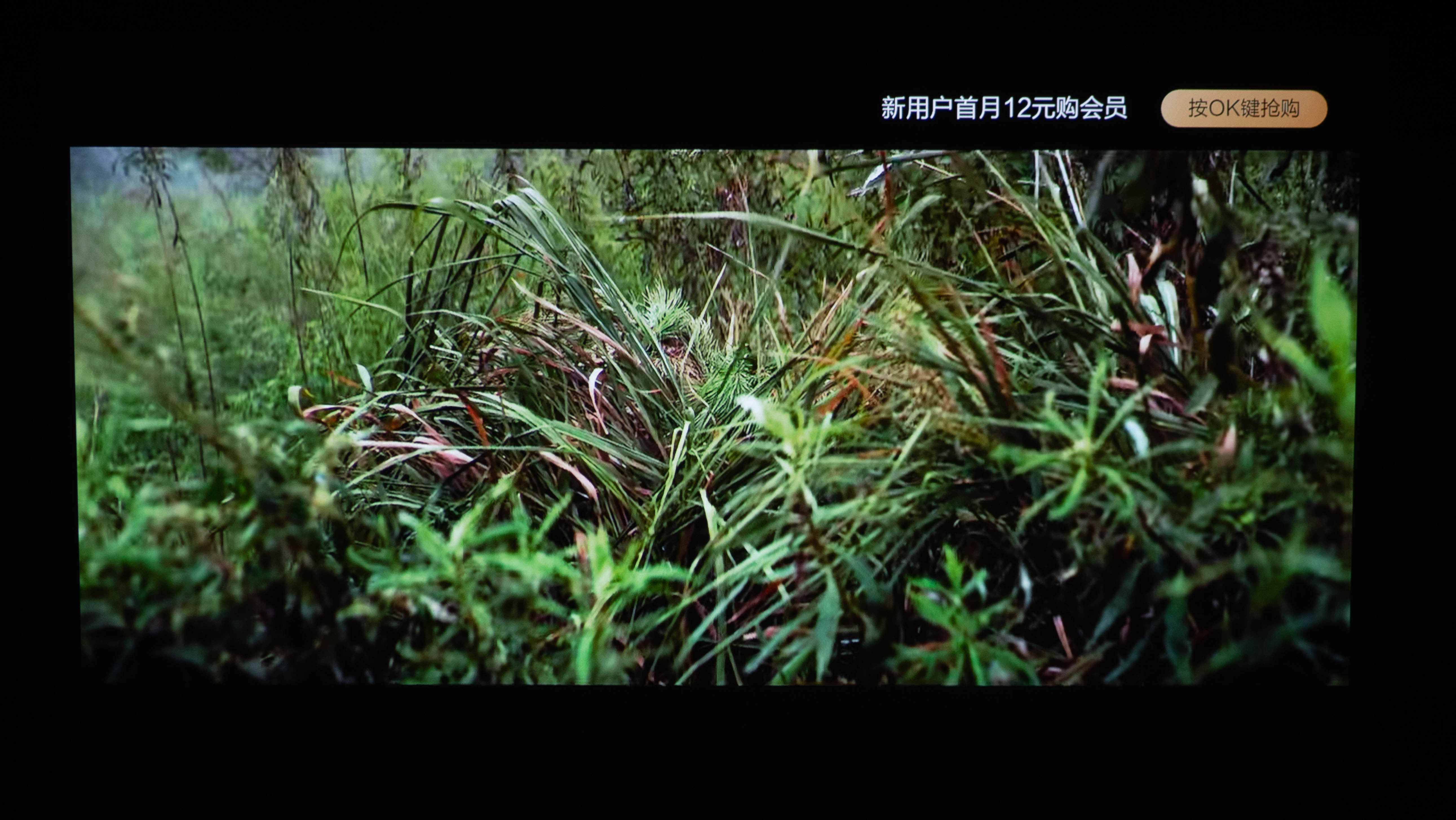 明基爱普生优派投影仪,优派明基爱普生投影仪