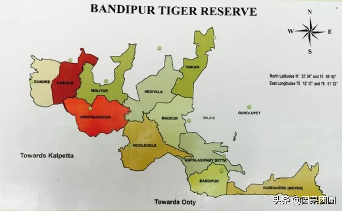 虎王拉贾孩子,虎王拉贾儿子怎么死的