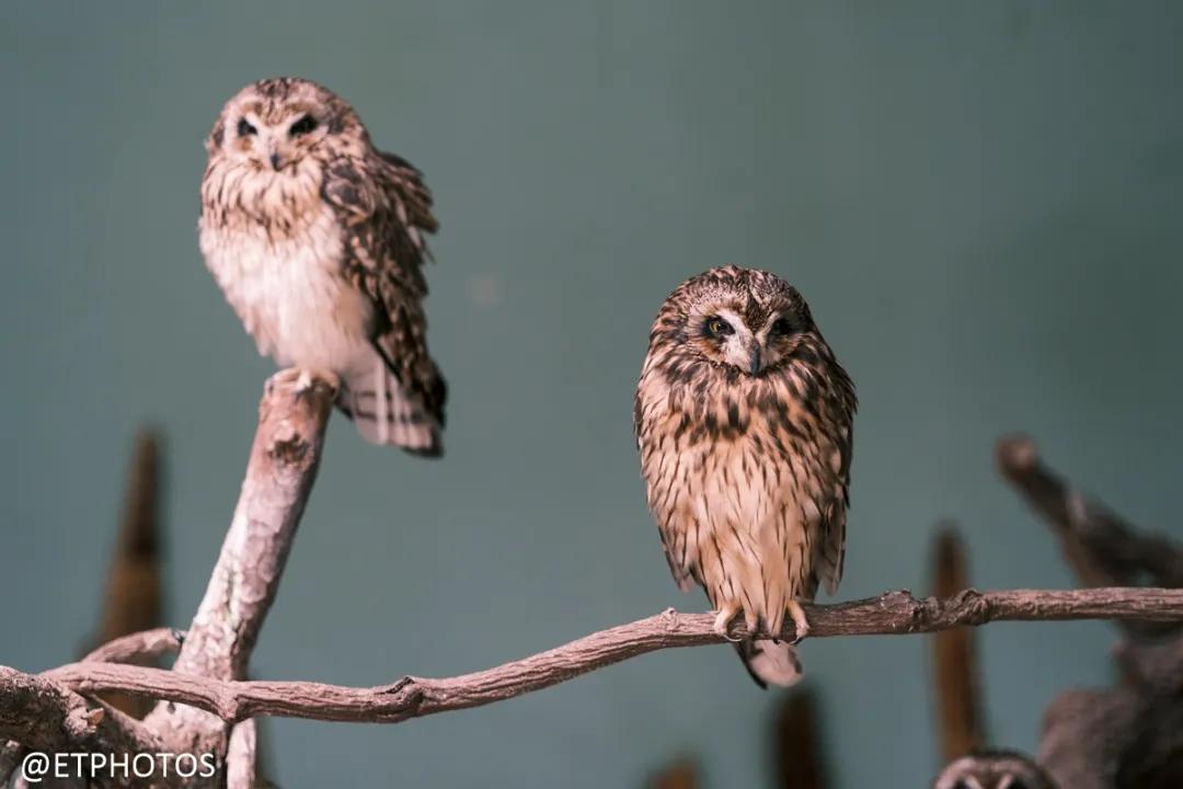 万元内微单相机全画幅,万元以内微单套机推荐