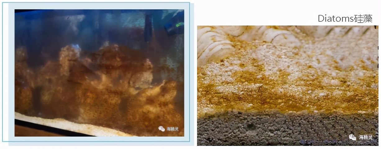 怎么才能从众人中脱颖而出,如何让自己从人群中脱颖而出