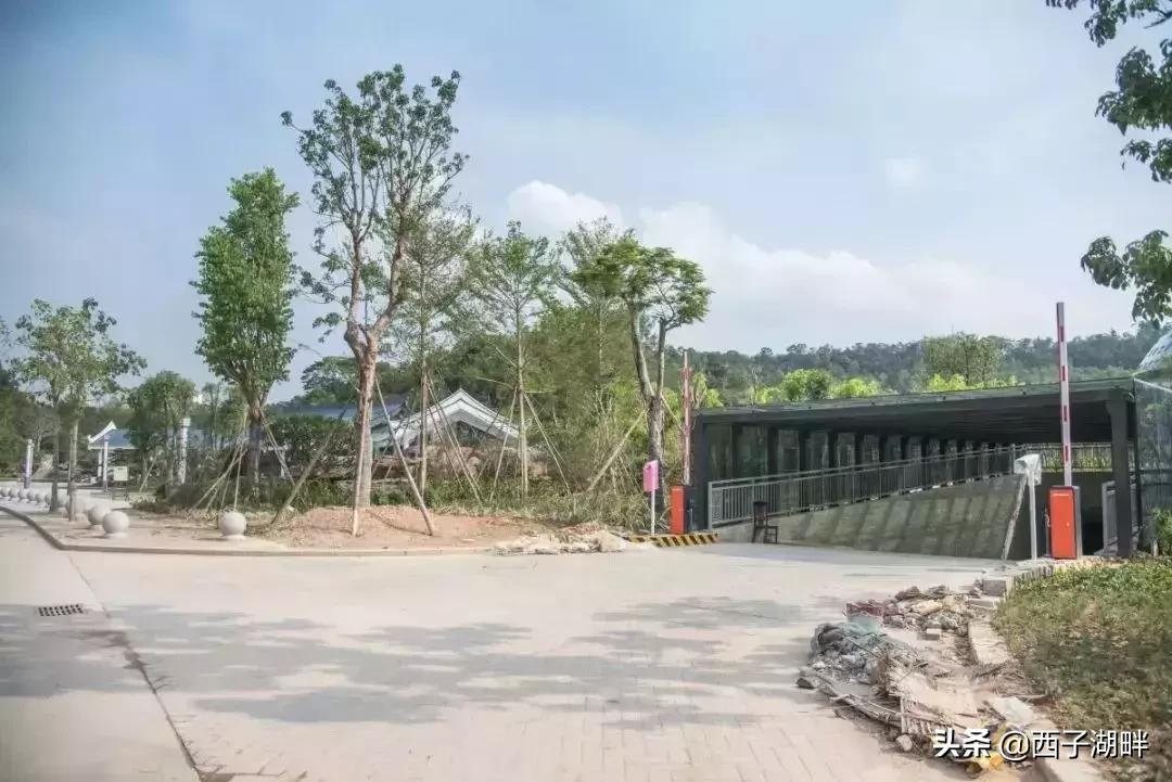 惠州西湖东门停车攻略,惠州西湖周末在哪里停车比较好