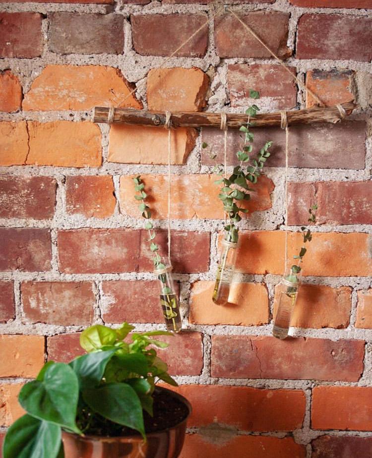 尤加利庭院,冷郁气质怎么形容