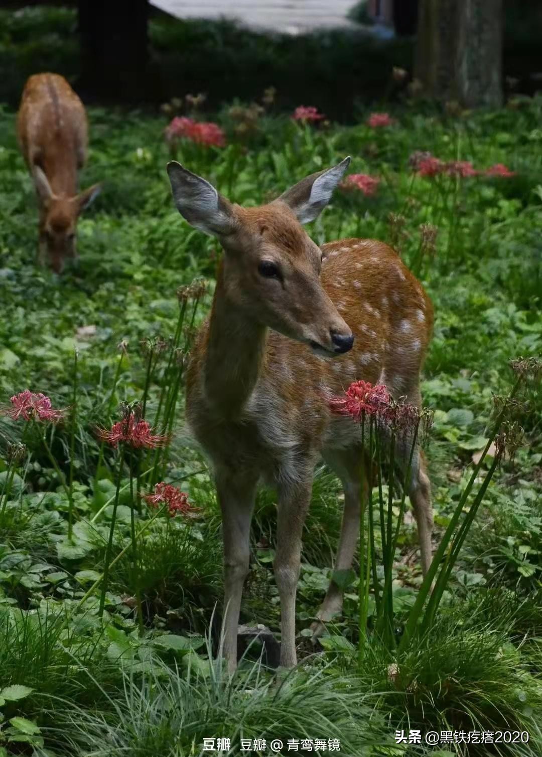 南京旅游攻略住宿酒店大学生,南京旅游攻略必去十个景点
