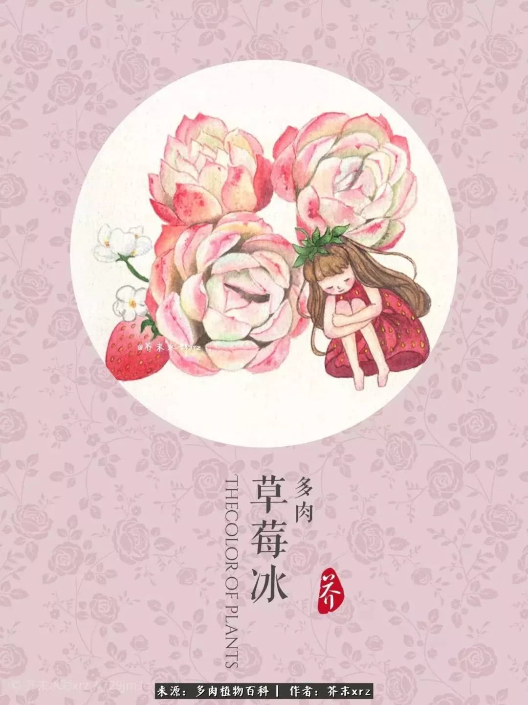 那个爱画多肉的小姑娘带着她的心头肉又来啦!