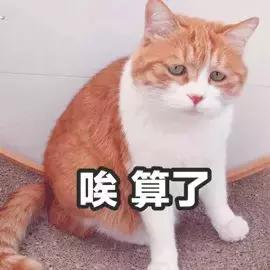 小红书怎么写比较更容易被搜索到,怎么样小红书才能不发信息