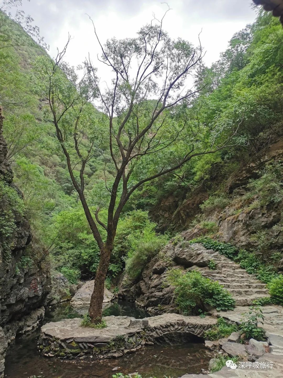 门头沟双龙峡小火车视频,京西小九寨百瀑谷