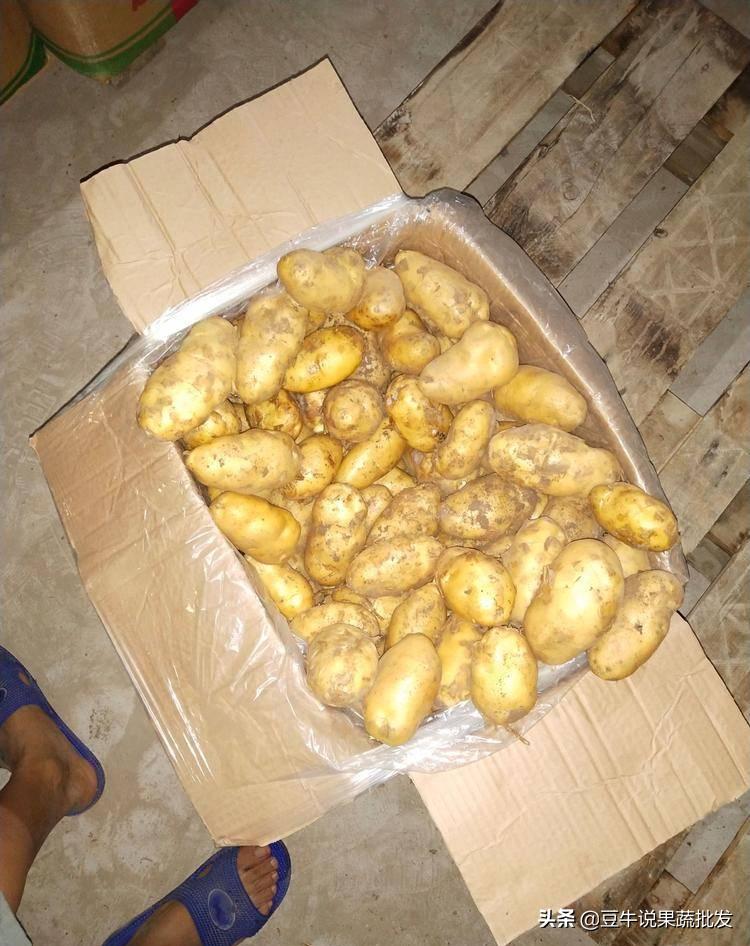 做果蔬批发要注意什么,果蔬批发好做还是零售好做