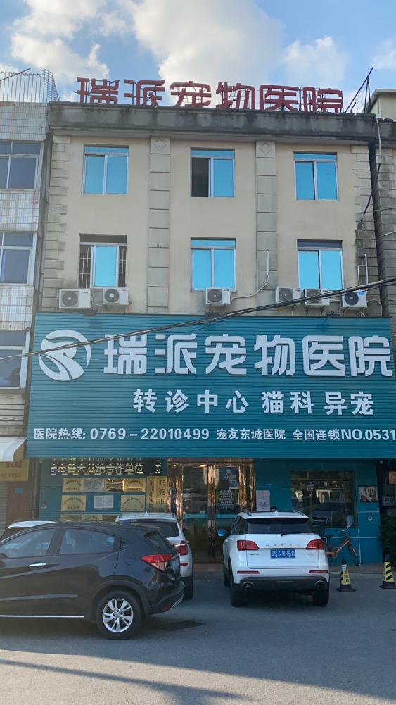 漳州瑞派宠物医院冠城分院,深圳瑞派宠物医院靠谱吗