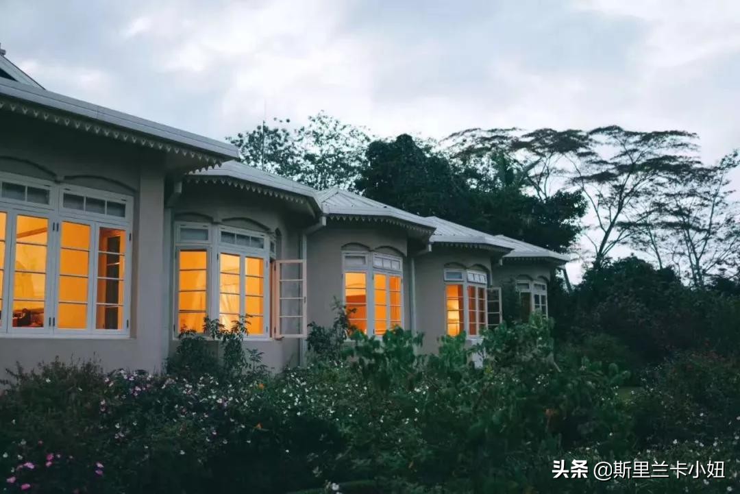 斯里兰卡带孩子游玩,斯里兰卡安缦