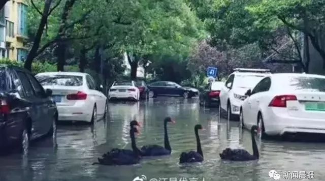 韦柏隐形纱窗怎么拆卸清洗,韦柏隐形纱窗搭配图解