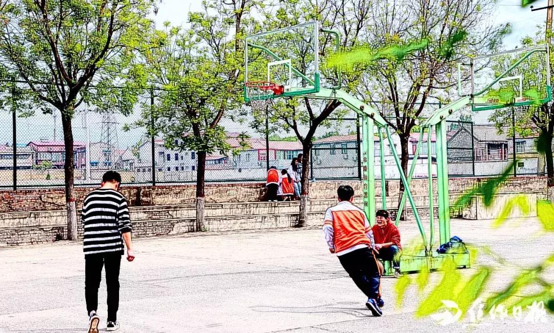 焦作市第四中学百科介绍,焦作市第四中学高三校区