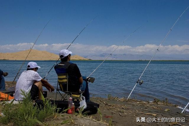 黑鱼钓法技巧野钓,黑鱼钓法技巧
