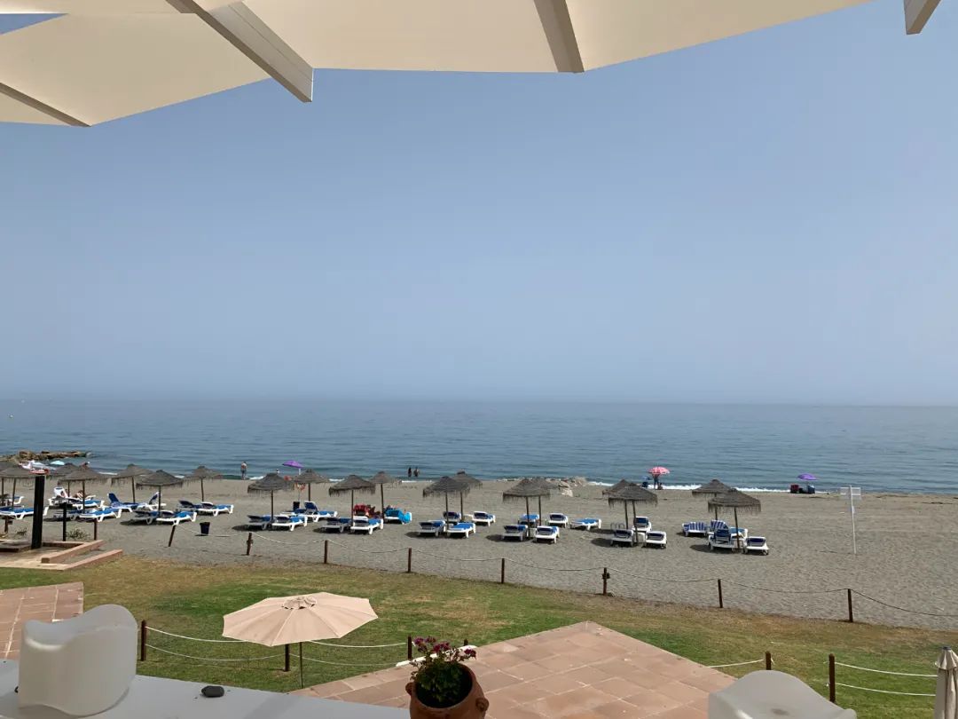 武磊西甲记录表,武磊周记在哪看