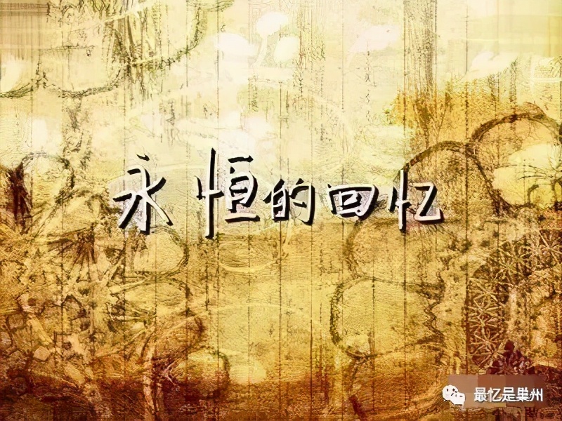 老家巢湖过年记,老家巢湖记