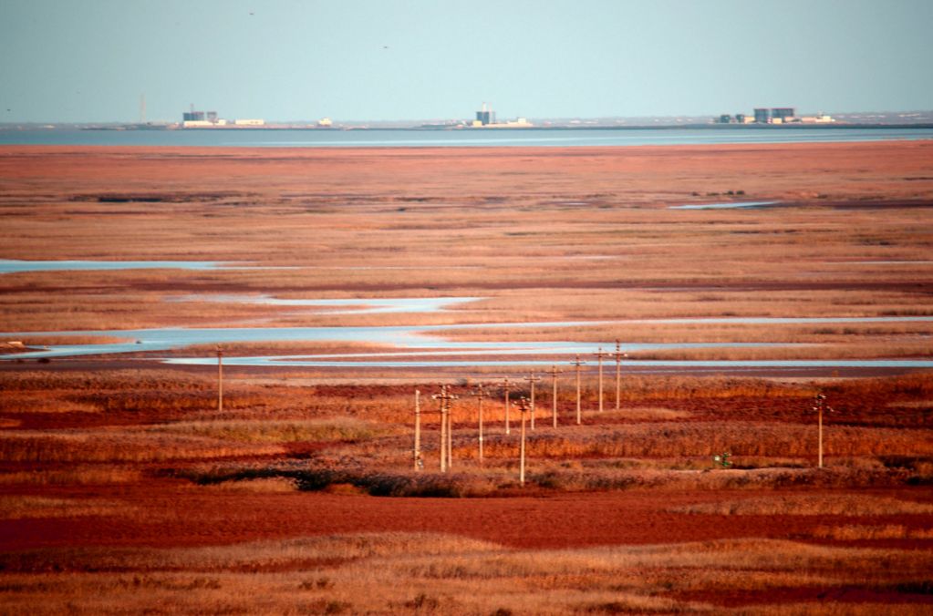 秋天最值得去的四个地方,秋天全部的风景