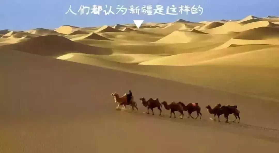 *疆新**，像个电影明星