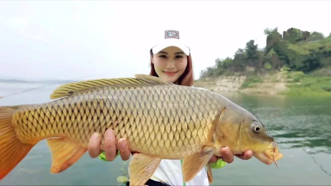 野钓怎么找钓位最简单方法,野钓这三个钓点千万不要选