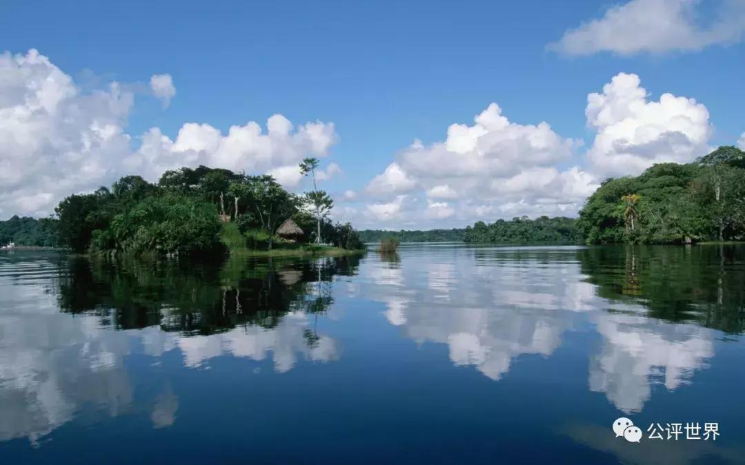 一只蝴蝶扇动翅膀引发龙卷风,南美洲的蝴蝶扇动翅膀引起龙卷风