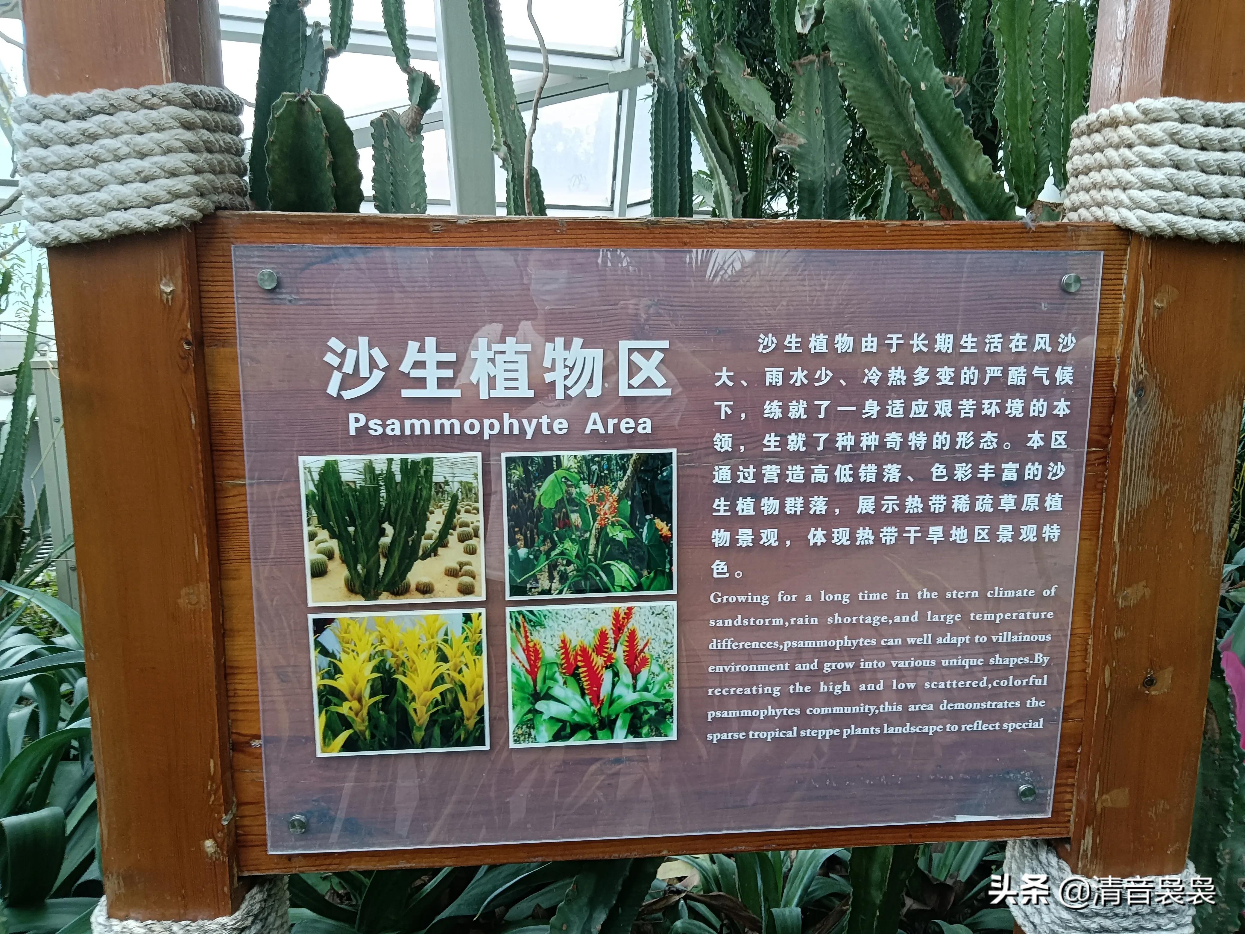 10年前西安世博园,现在世博园怎么样了