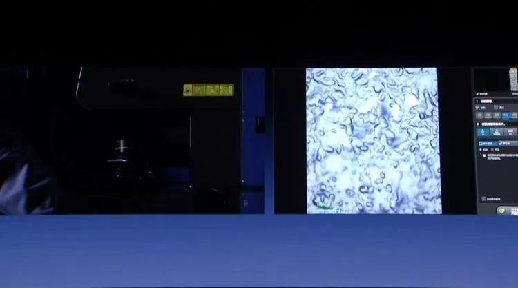 罗永浩发布会ppt教程,罗永浩说新品发布